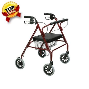 Drive Medical Go-Lite Bariatric Steel Rollator 29" L x 30" W x 39" H - Blue
