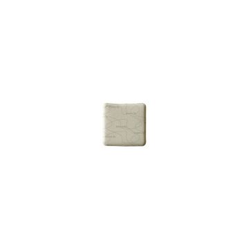 Biatain Ag Foam Antimicrobial Dressing With Silver - Box of 5 by Coloplast - 6 inch x 6 inch Square, Non-Adhesive