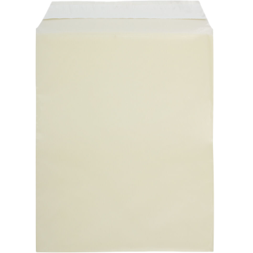 8 15/16 x 11 1/4 Cello Envelopes with Peel & Seal - Yellow 1.6mil