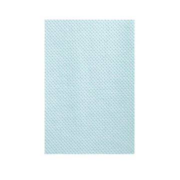 Graham Medical Blue Dental Bib