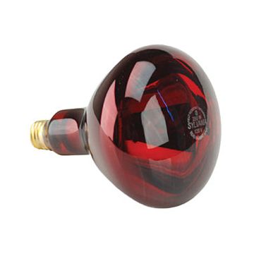 IR-Pro 250 Professional Heat Lamp Replacement Bulb by Lhasa Oms Inc - Singles