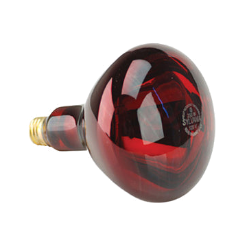 IR-Pro 250 Professional Heat Lamp Replacement Bulb by Lhasa Oms Inc - Singles