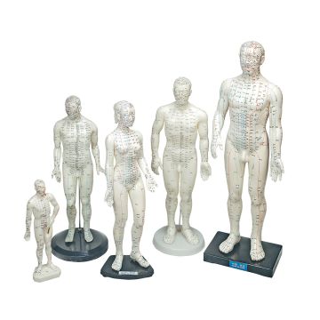 Human Models by Lhasa Oms Inc - Each, Woman 19 inch
