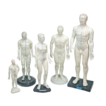 Human Models by Lhasa Oms Inc - Each, Woman 19 inch