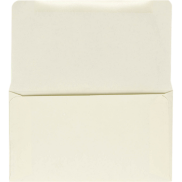 Remittance Envelopes (3 5/8 x 6 1/2 Closed) - Pastel Natural Cream 24lb